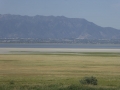P1110593