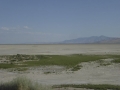 P1110631