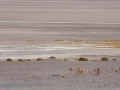 P1260993