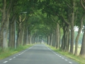 P1000179