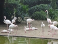 P1000115