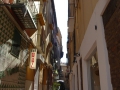 P1020796