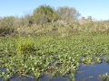 P1180170