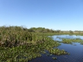 P1180176