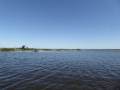 P1180219