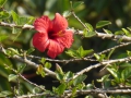 P1180318