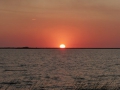 P1180320