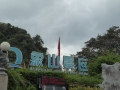 P1010869