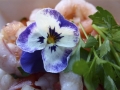 P1060293