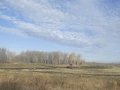 P1040266