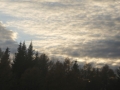 P1040490