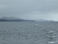 P1060884