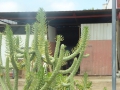 P1280453