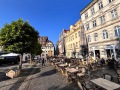 IMG_5517