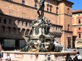 IMG_5542