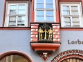 IMG_5544