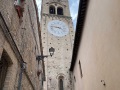 IMG_5554