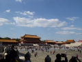 P1030554