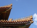P1030576