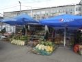 P1030590