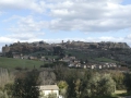 P1210123
