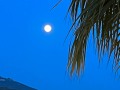 IMG_7794