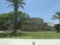 P1110563