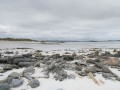 P1002486
