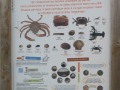 P1280826