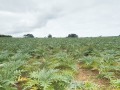 P1280865