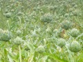 P1280875