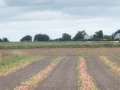 P1280982