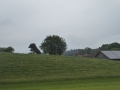 P1160689