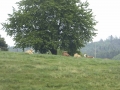 P1160690