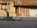 P1160479
