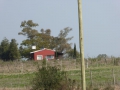 P1160541