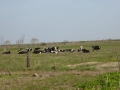 P1160594