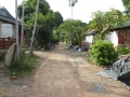 P1100036