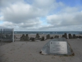 P1090167.jpg