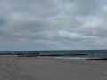 P1090180.jpg
