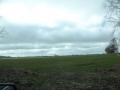 P1090190.jpg