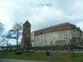 P1090222.jpg