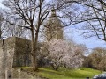 IMG_5084