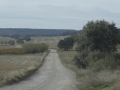 P1150252