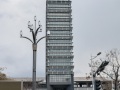 IMG_4993
