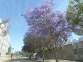 P1280665