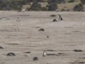 P1060961