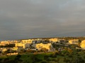 IMG_3142
