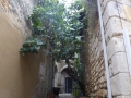 P1030490