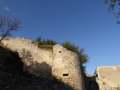P1030529
